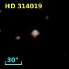 HD 314019
