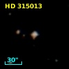 HD 315013