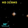 HD 315045