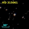 HD 315061