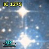 IC 1275