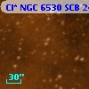 Cl* NGC 6530    SCB      24