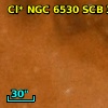 Cl* NGC 6530    SCB     351