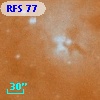 RFS   77