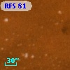 RFS   81