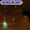 [SC95] M 265
