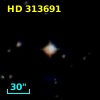 HD 313691