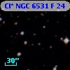 Cl* NGC 6531      F      24