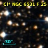 Cl* NGC 6531      F      25