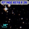 Cl* NGC 6531      F      28