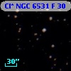 Cl* NGC 6531      F      30