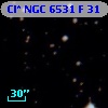 Cl* NGC 6531      F      31