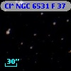 Cl* NGC 6531      F      37