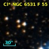 Cl* NGC 6531      F      55