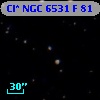 Cl* NGC 6531      F      81