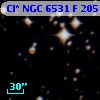 Cl* NGC 6531      F     205