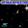 Cl* NGC 6531      F     209