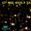 Cl* NGC 6531      F     222