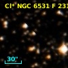 Cl* NGC 6531      F     231