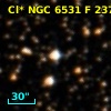 Cl* NGC 6531      F     237