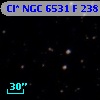 Cl* NGC 6531      F     238