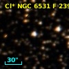 Cl* NGC 6531      F     239