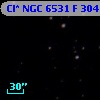 Cl* NGC 6531      F     304