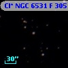 Cl* NGC 6531      F     305