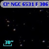 Cl* NGC 6531      F     306