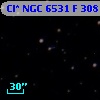 Cl* NGC 6531      F     308
