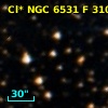 Cl* NGC 6531      F     310
