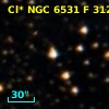 Cl* NGC 6531      F     312