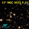 Cl* NGC 6531      F     313