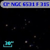 Cl* NGC 6531      F     315
