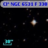 Cl* NGC 6531      F     330