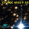 Cl* NGC 6531      F     331