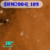 [DFM2004] 109