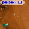[DFM2004] 116