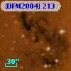 [DFM2004] 213