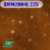 [DFM2004] 225