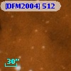 [DFM2004] 512