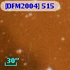 [DFM2004] 515