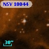 NSV 10044