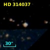 HD 314037