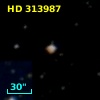 HD 313987