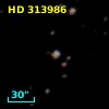 HD 313986