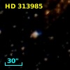 HD 313985