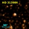 HD 313984
