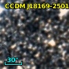 CCDM J18169-2501CD