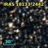 IRAS 18133-2442
